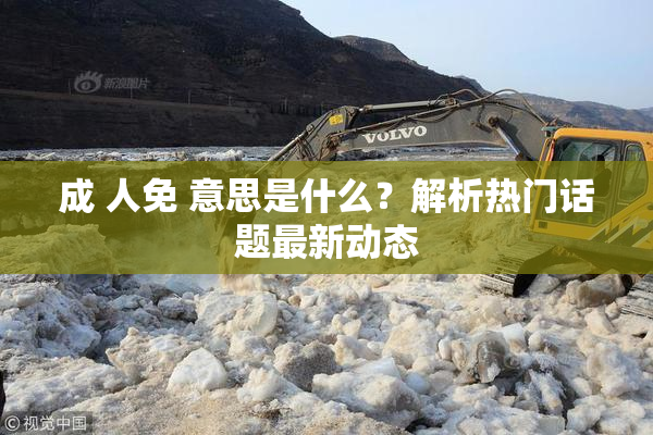 成 人免 意思是什么？解析热门话题最新动态