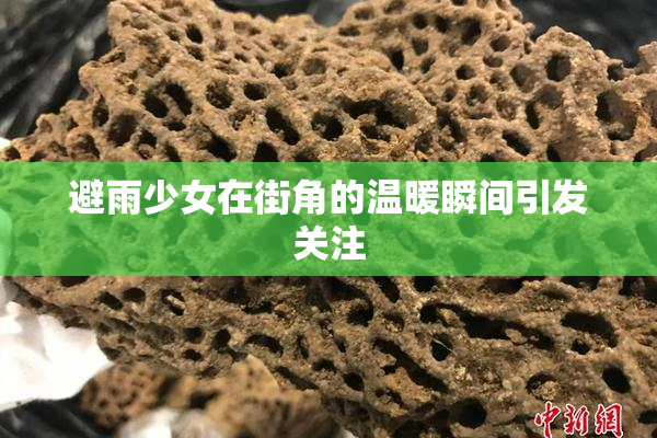 避雨少女在街角的温暖瞬间引发关注