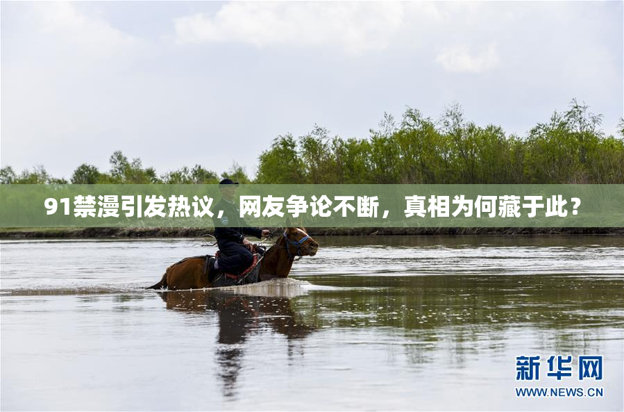 91禁漫引发热议，网友争论不断，真相为何藏于此？