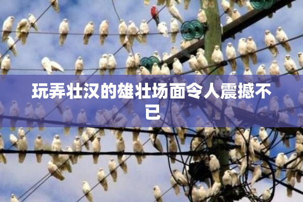 玩弄壮汉的雄壮场面令人震撼不已