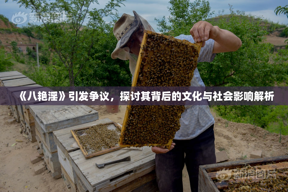 《八艳淫》引发争议，探讨其背后的文化与社会影响解析