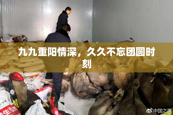 九九重阳情深，久久不忘团圆时刻