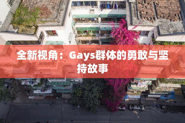 全新视角：Gays群体的勇敢与坚持故事