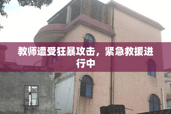 教师遭受狂暴攻击，紧急救援进行中