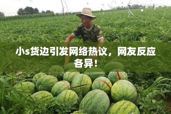 小s货边引发网络热议，网友反应各异！