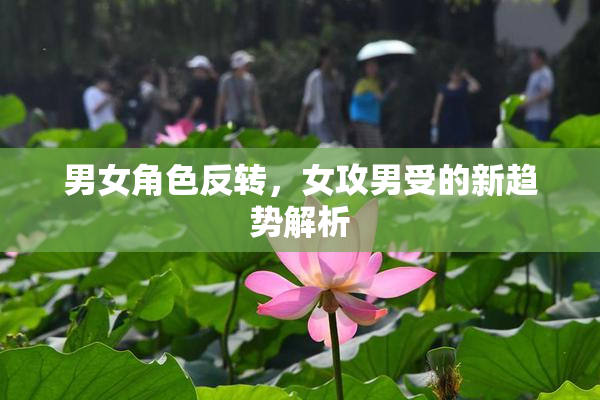 男女角色反转，女攻男受的新趋势解析