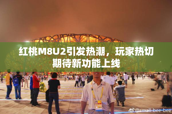 红桃M8U2引发热潮，玩家热切期待新功能上线