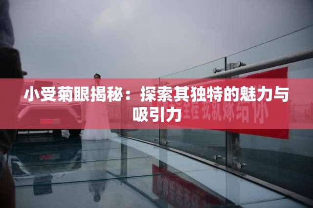 小受菊眼揭秘：探索其独特的魅力与吸引力