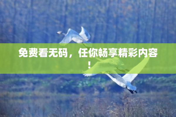 免费看无码，任你畅享精彩内容！