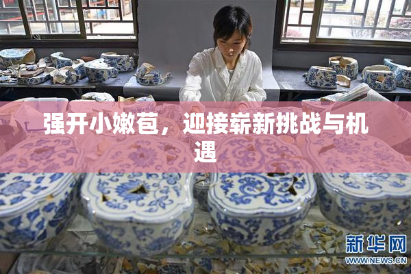 强开小嫩苞，迎接崭新挑战与机遇