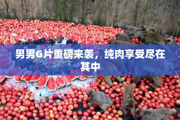 男男G片重磅来袭，纯肉享受尽在其中