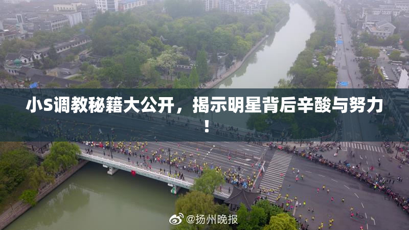 小S调教秘籍大公开，揭示明星背后辛酸与努力！