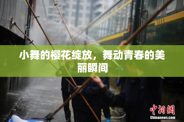 小舞的樱花绽放，舞动青春的美丽瞬间