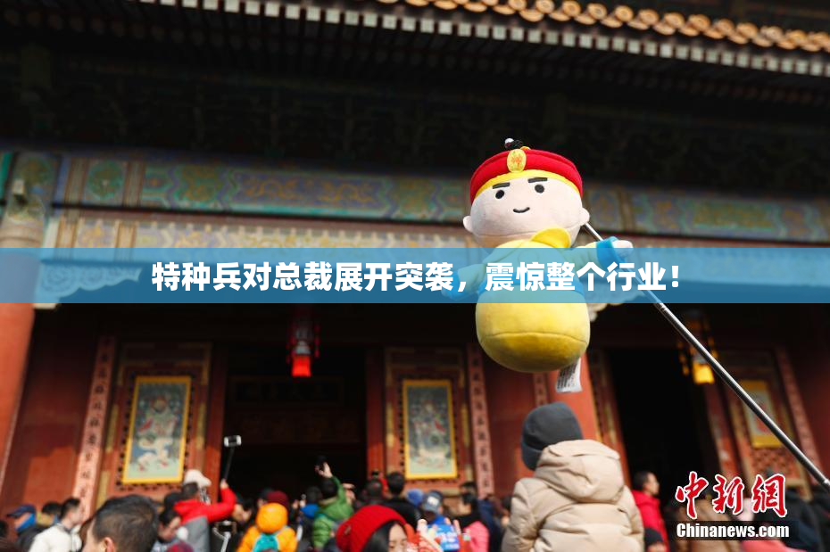 特种兵对总裁展开突袭，震惊整个行业！