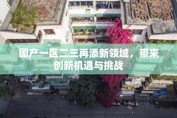 国产一区二三再添新领域，带来创新机遇与挑战