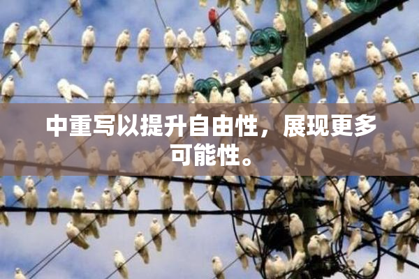 中重写以提升自由性，展现更多可能性。