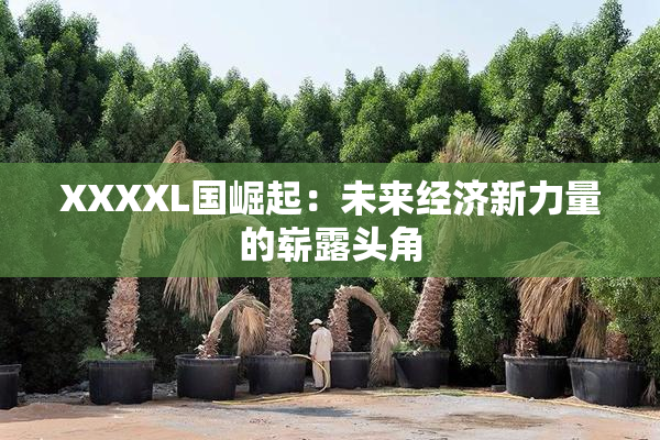 XXXXL国崛起：未来经济新力量的崭露头角