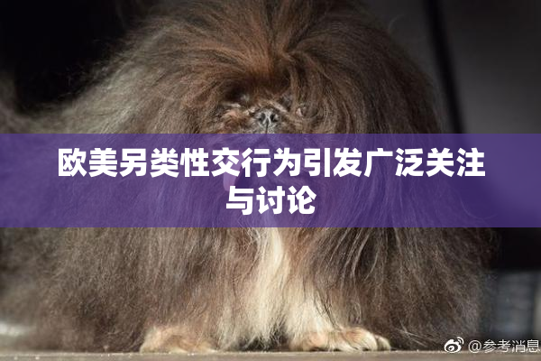 欧美另类性交行为引发广泛关注与讨论