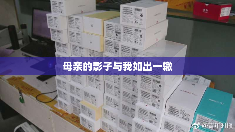 母亲的影子与我如出一辙