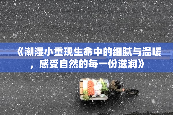 《潮湿小重现生命中的细腻与温暖，感受自然的每一份滋润》