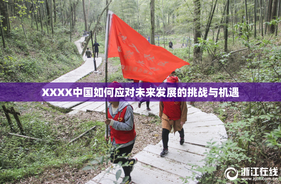 XXXX中国如何应对未来发展的挑战与机遇