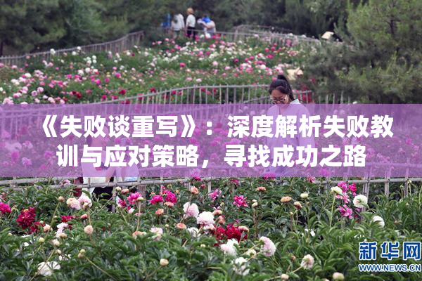 《失败谈重写》：深度解析失败教训与应对策略，寻找成功之路