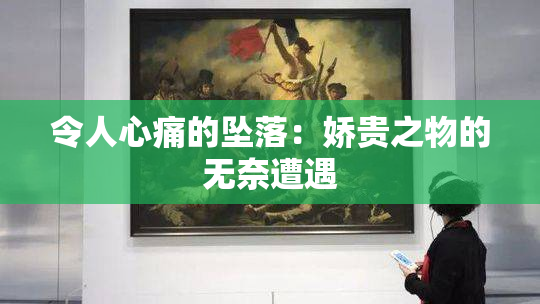 令人心痛的坠落：娇贵之物的无奈遭遇