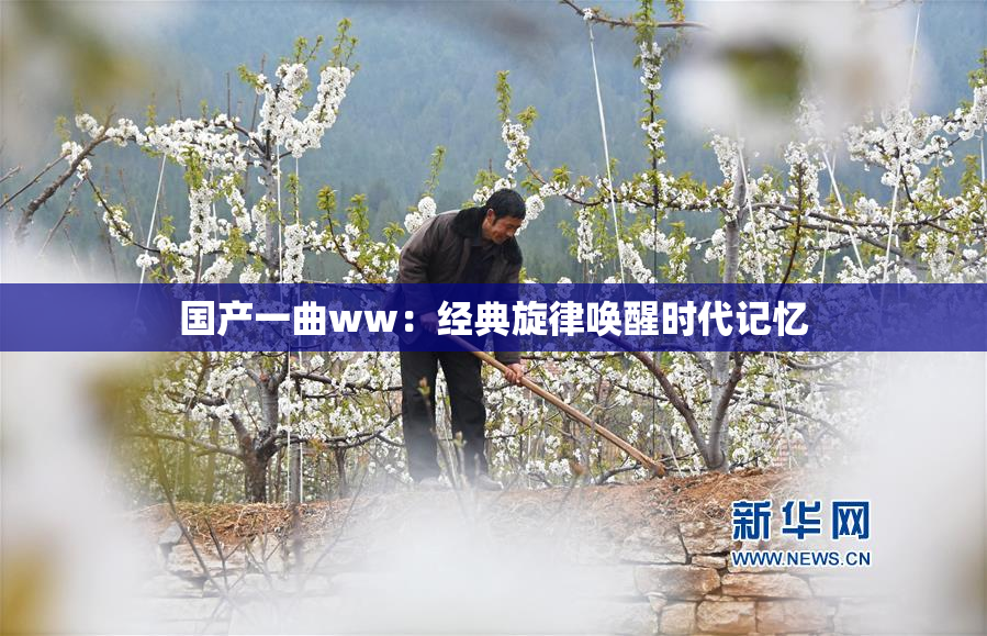 国产一曲ww：经典旋律唤醒时代记忆