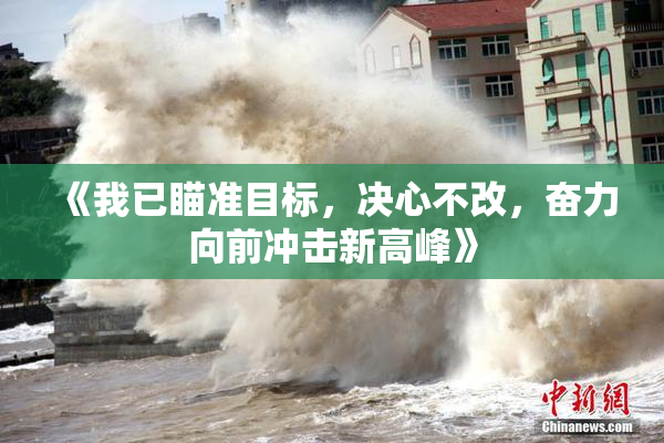 《我已瞄准目标，决心不改，奋力向前冲击新高峰》
