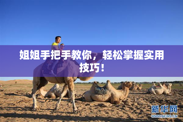姐姐手把手教你，轻松掌握实用技巧！