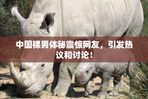 中国裸男体秘震惊网友，引发热议和讨论！