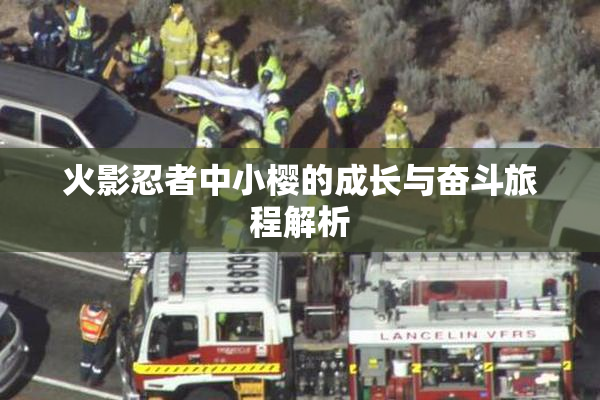 火影忍者中小樱的成长与奋斗旅程解析