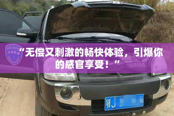 “无偿又刺激的畅快体验，引爆你的感官享受！”