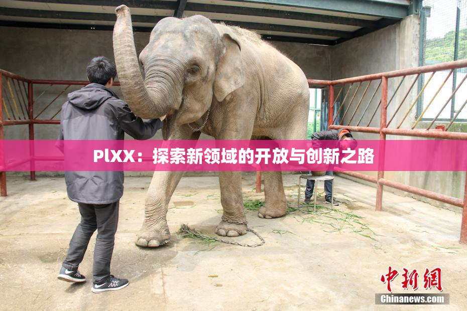 PlXX：探索新领域的开放与创新之路