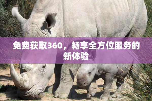 免费获取360，畅享全方位服务的新体验