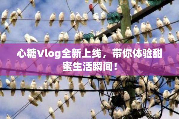 心糖Vlog全新上线，带你体验甜蜜生活瞬间！