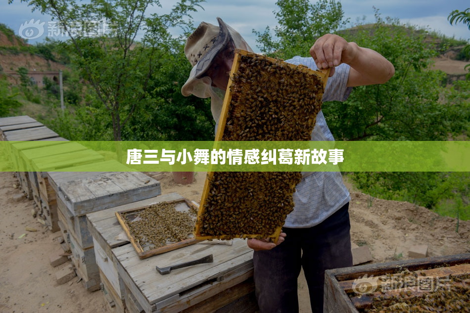 唐三与小舞的情感纠葛新故事