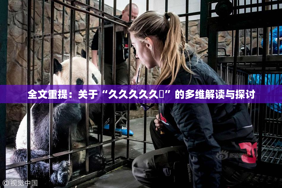 全文重提：关于“久久久久久黃”的多维解读与探讨