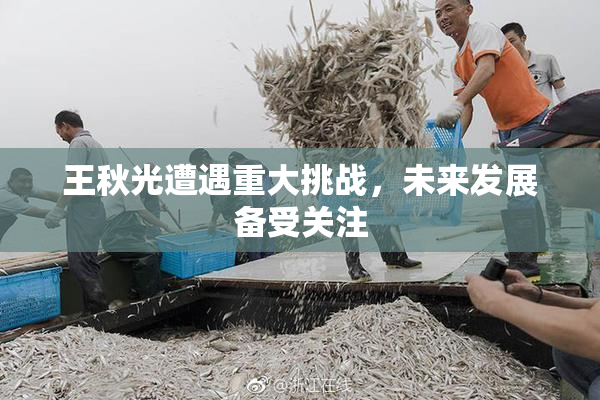 王秋光遭遇重大挑战，未来发展备受关注