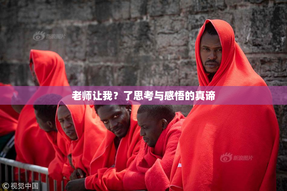老师让我？了思考与感悟的真谛