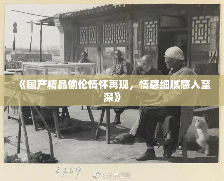 《国产精品偷伦情怀再现，情感细腻感人至深》