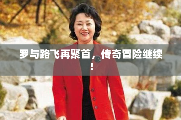 罗与路飞再聚首，传奇冒险继续！