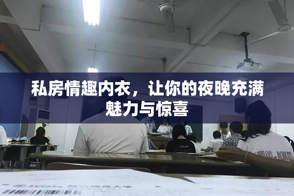 私房情趣内衣，让你的夜晚充满魅力与惊喜
