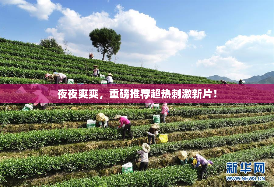 夜夜爽爽，重磅推荐超热刺激新片！