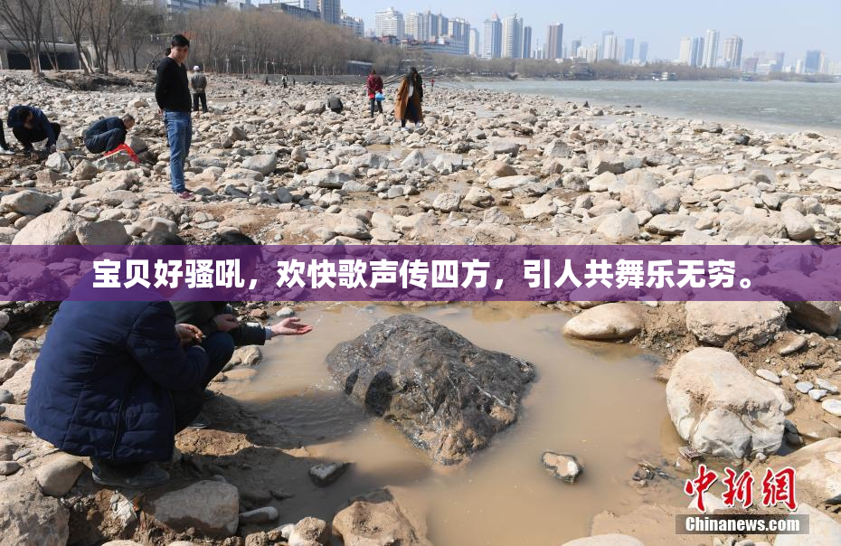 宝贝好骚吼，欢快歌声传四方，引人共舞乐无穷。