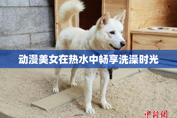 动漫美女在热水中畅享洗澡时光