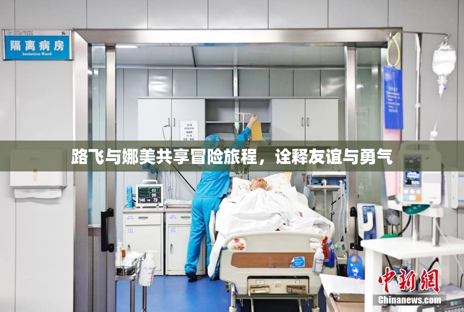 路飞与娜美共享冒险旅程，诠释友谊与勇气