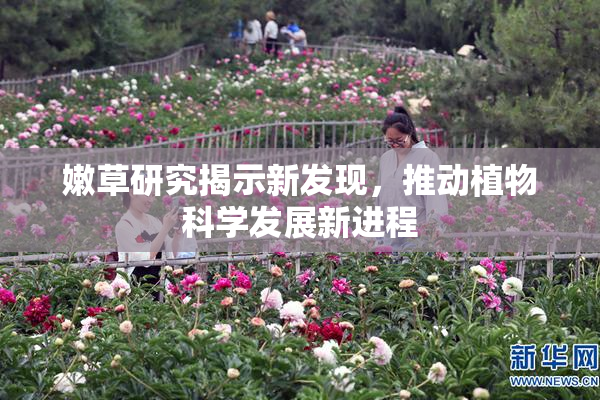 嫩草研究揭示新发现，推动植物科学发展新进程