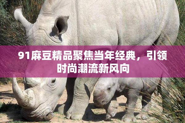 91麻豆精品聚焦当年经典，引领时尚潮流新风向