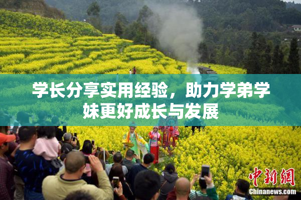 学长分享实用经验，助力学弟学妹更好成长与发展